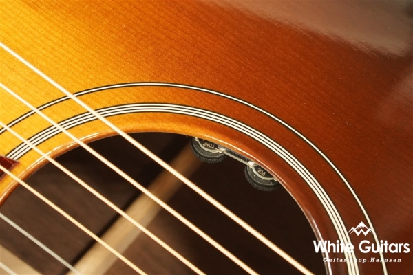 Hummingbird Studio - Walnat Burst